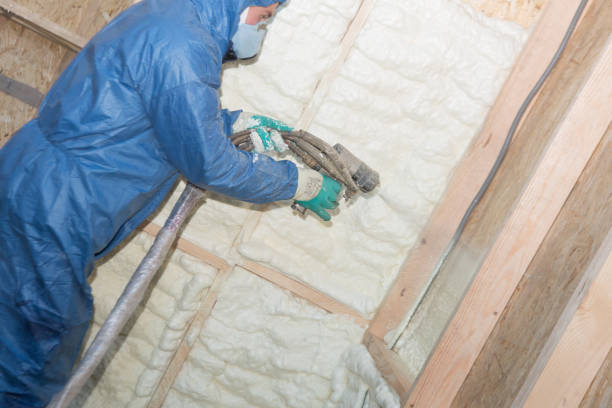 Types of Insulation We Offer in Paw Paw, MI